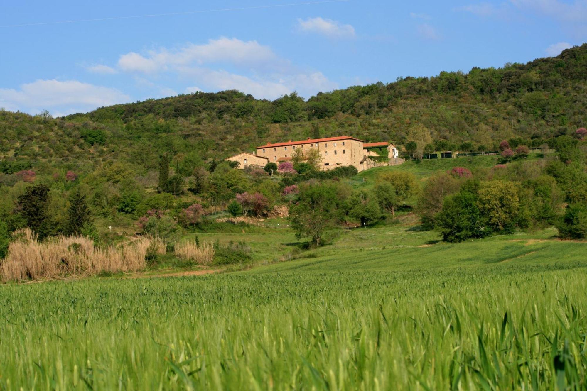 Agriturismo San Ottaviano Guest House Monterotondo  Ngoại thất bức ảnh